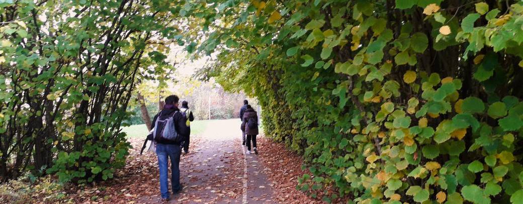 Marche du temps profond