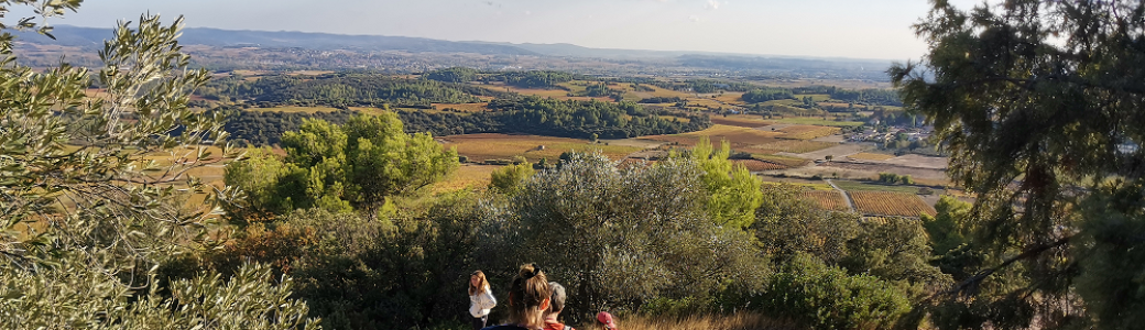 Marche entre garrigue et plaine viticole