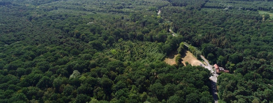 Marchiennes Run forêt