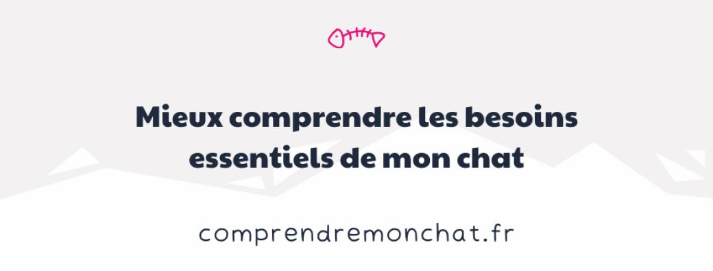 Mieux comprendre les besoins essentiels de mon chat