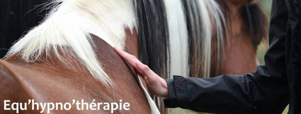 Mieux se connaître et avancer sur son chemin de vie à l’aide des chevaux - Présence à soi