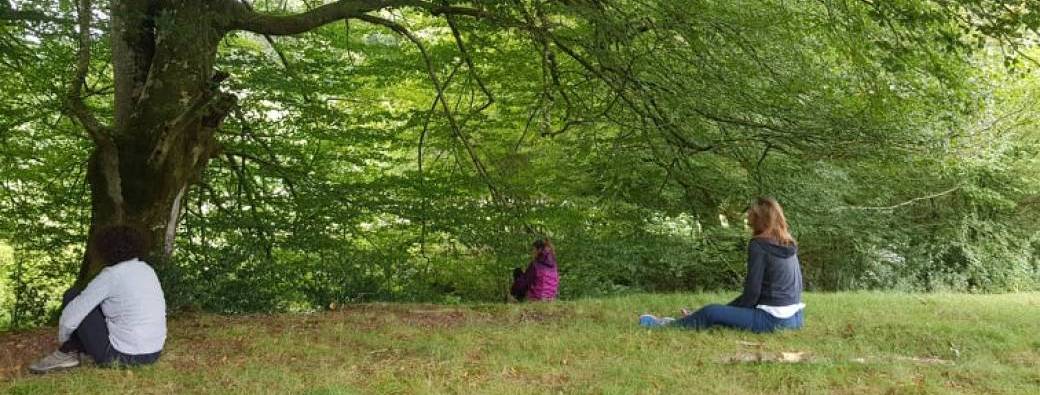 Mon Week-end thérapeutique avec les Arbres