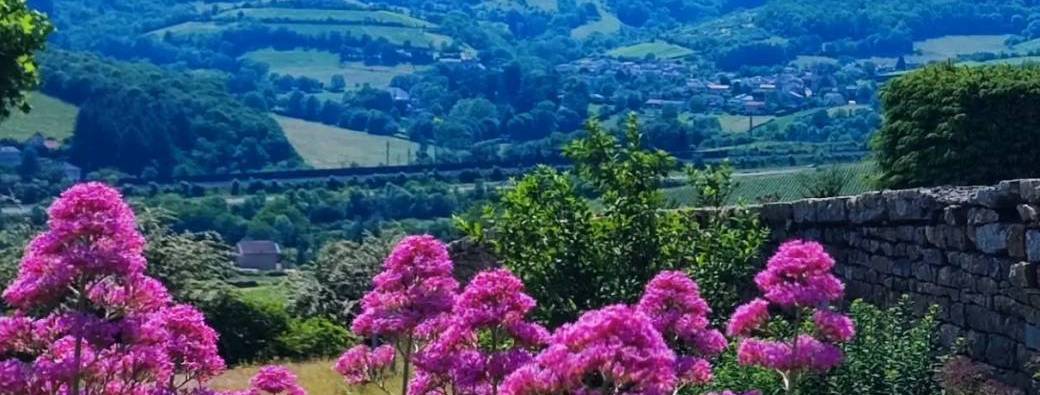 NaturGourmande: Berzé la Ville