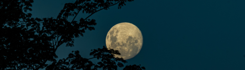 Nocturne à la pleine Lune