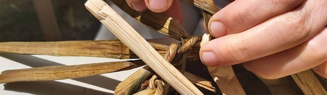 Nourrir sa fibre créatrice sauvage Nourrir sa fibre créatrice sauvage