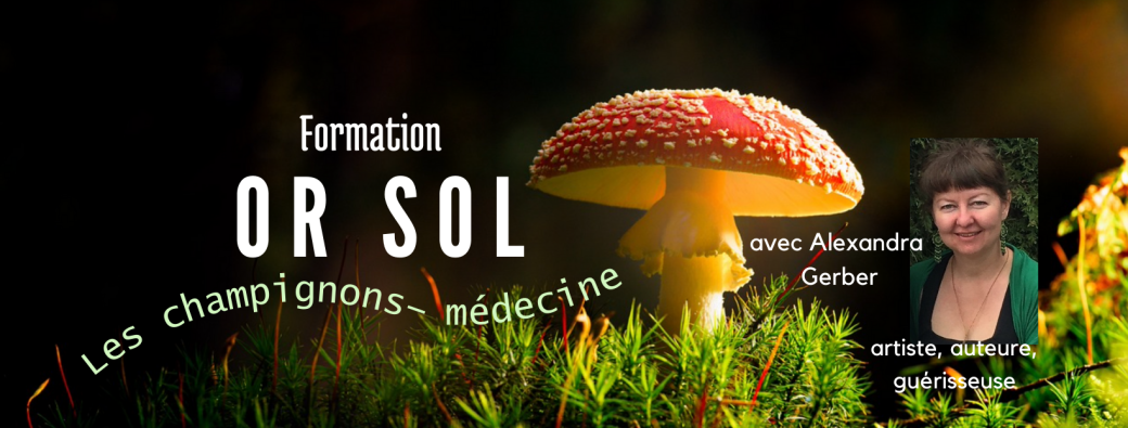 Or Sol, les champignons médecine