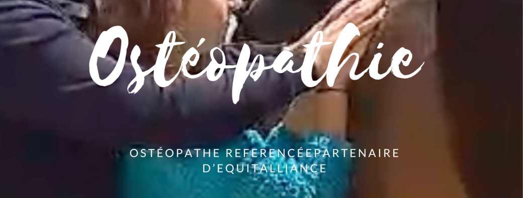 Soignez vous-même votre cheval en 4 jours d'Ostéopathie les 18/19 nov. et 19/20 dec. 2024