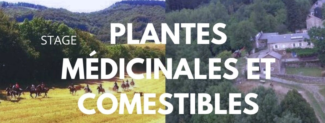 Plantes Médicinales et Comestibles aux écuries de la Sabatarié - Tarn