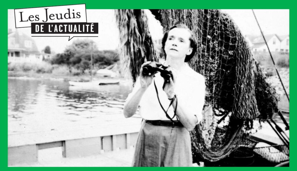 Rachel Carson, pionnière écologiste