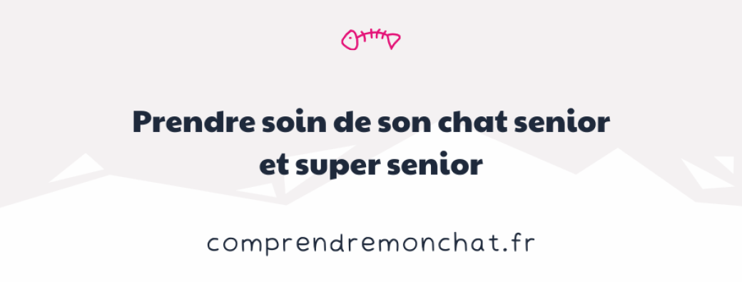 Prendre soin de son chat senior et super senior.