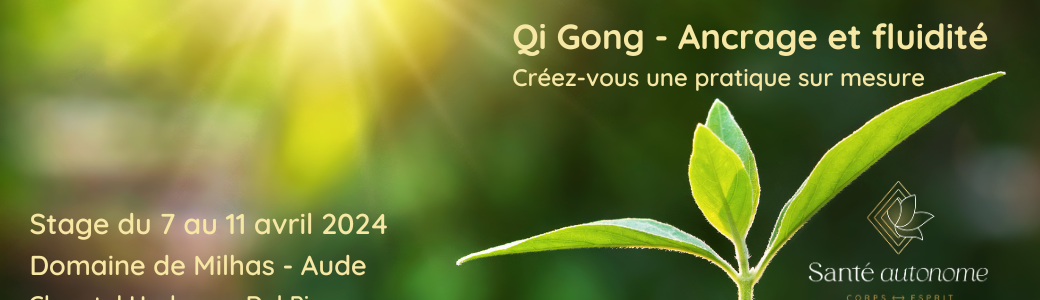 Qi Gong – Ancrage et fluidité / Créez-vous une pratique sur mesure