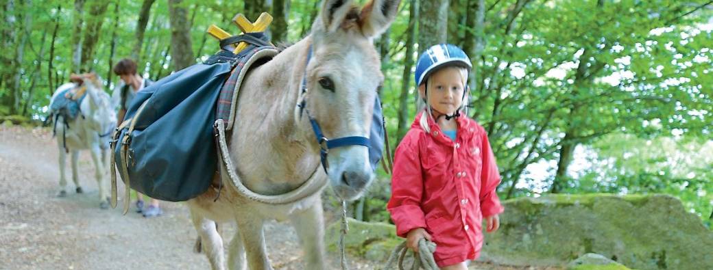 Day hike with a donkey