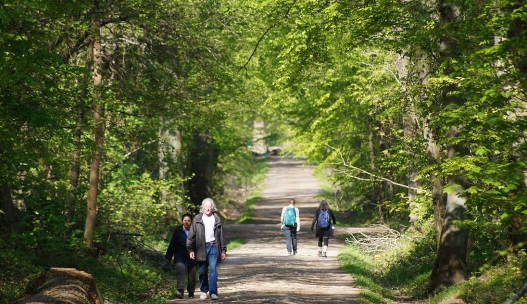 Randonnée Entre jardins et forêt à Verrières-le-Buisson