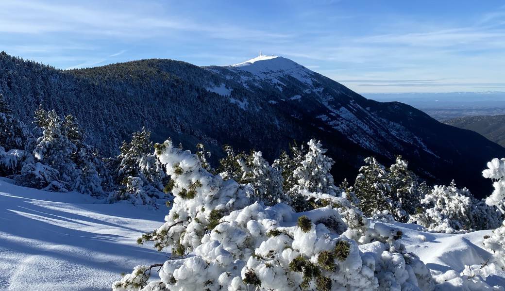 Randonnée raquette au Mont Ventoux