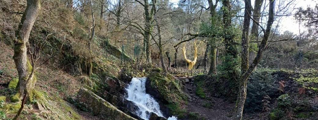 Retraite énergétique et métamorphose en forêt de Brocéliande