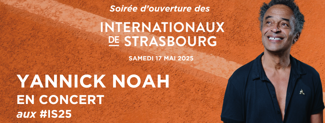 Concert de Yannick Noah