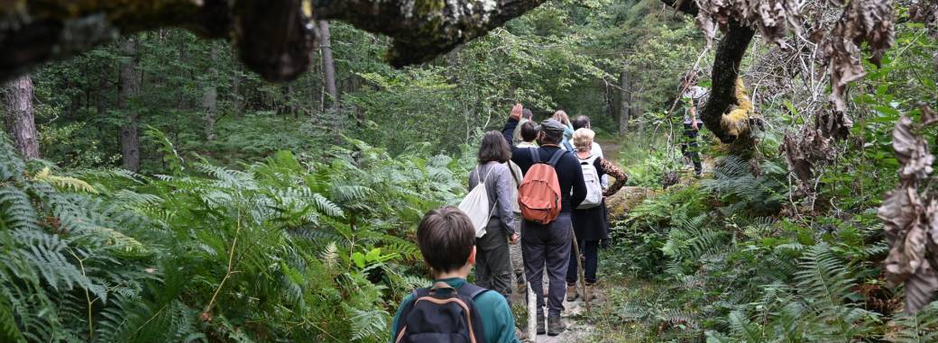 Séjour d'immersion en forêt - familles