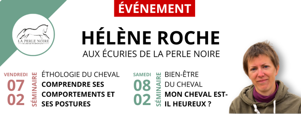 Séminaires Hélène Roche à la Perle Noire