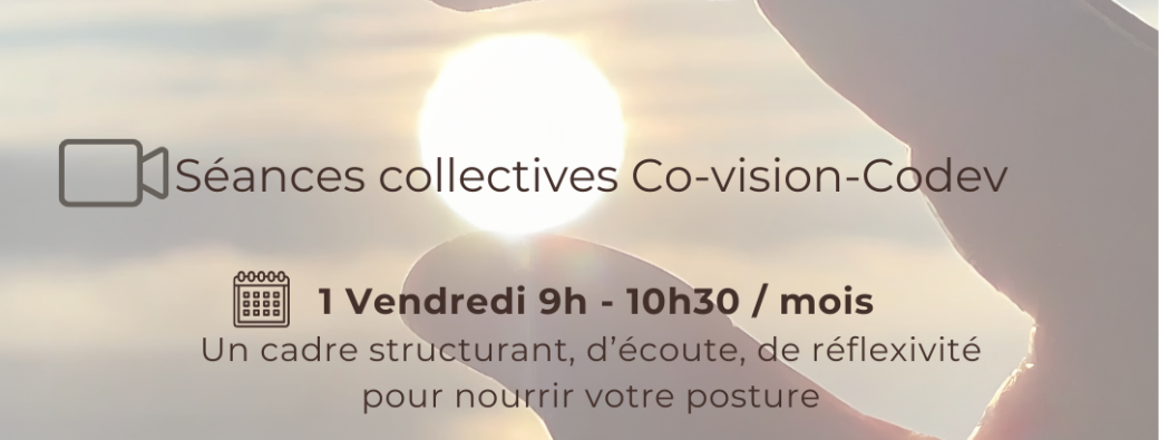 Séance Co-vision Codev