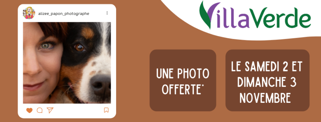 Shooting photos animaux de compagnie