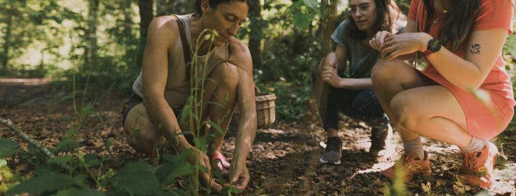 S'initier aux Plantes Médicinales