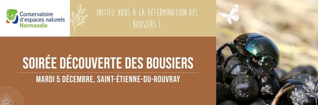 Soirée découverte des bousiers