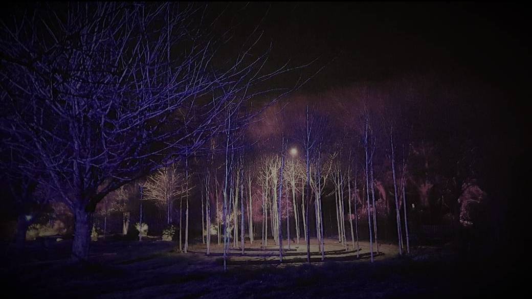 Concert en Terre d'Accord en lumière