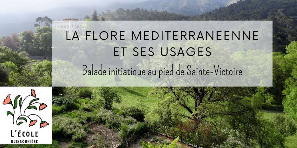 La flore méditerranéenne et ses usages