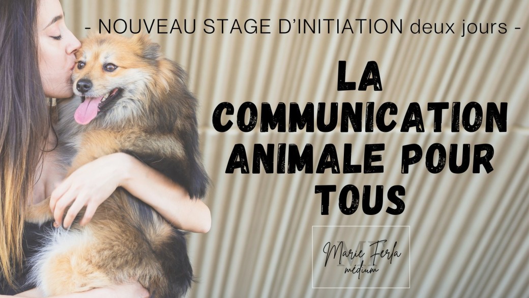 Stage Communication animale pour tous ! MERIGNIES ( 59) 28 et 29 AOUT