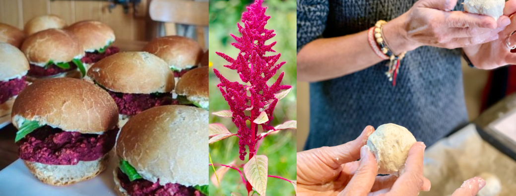 Stage Cuisine & Plantes-Veggie burger & Herbal tea