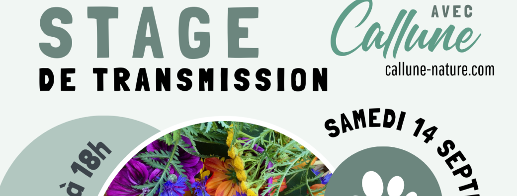 Stage de transmission - herboristerie, botanique & cosmétiques