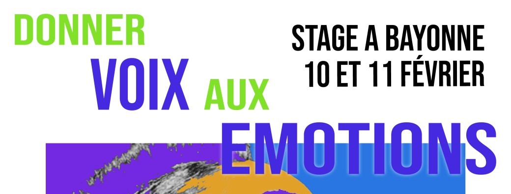 STAGE "Donner Voix aux Emotions"