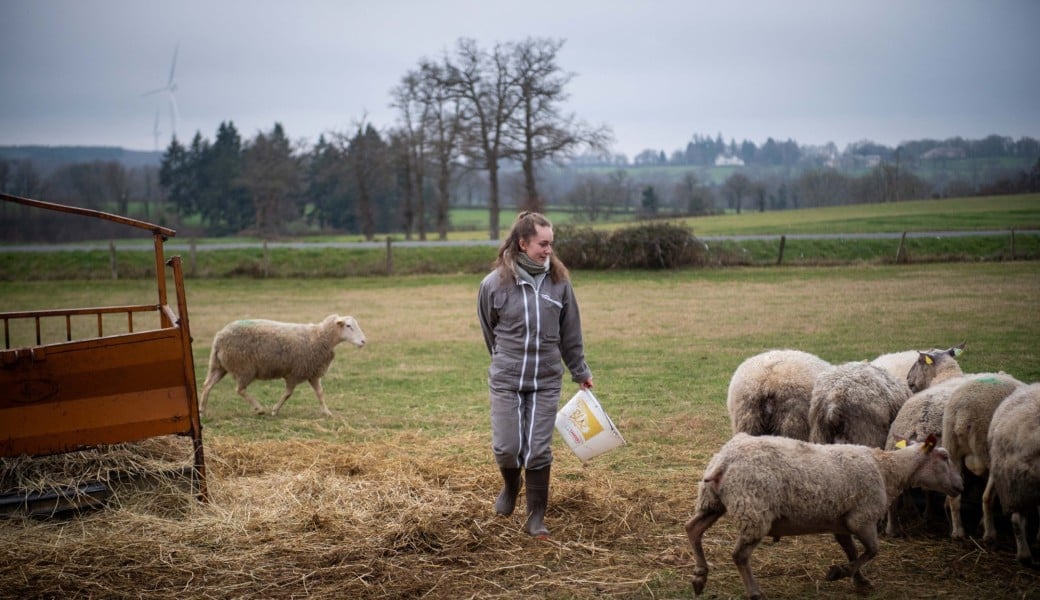 Temps fort paysan | Transmission et formation agricole : quel avenir pour le monde paysan ? 