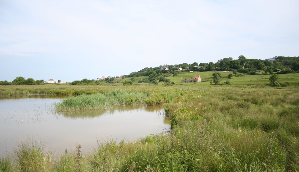 Terre et Mer autour du Bois de Bernouville – 5 km 