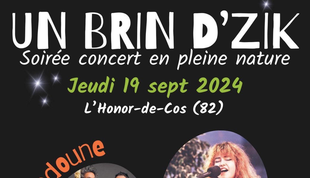 Un Brin D'Zik