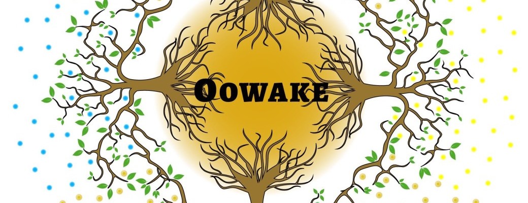 Venez fabriquer votre tambour chamanique avec Oowake novembre 24