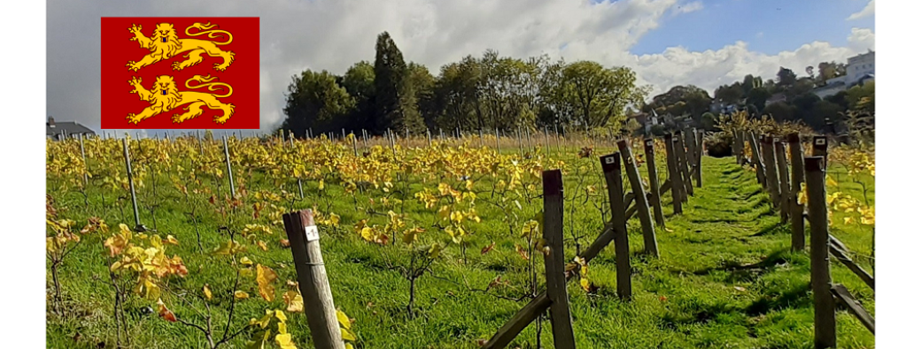 Vigne & vin en Normandie, hier & aujourd'hui