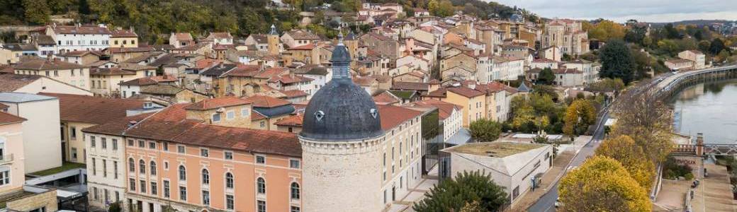 Violences Faites aux Femmes - soirée professionnelle - Hôpital de Trévoux