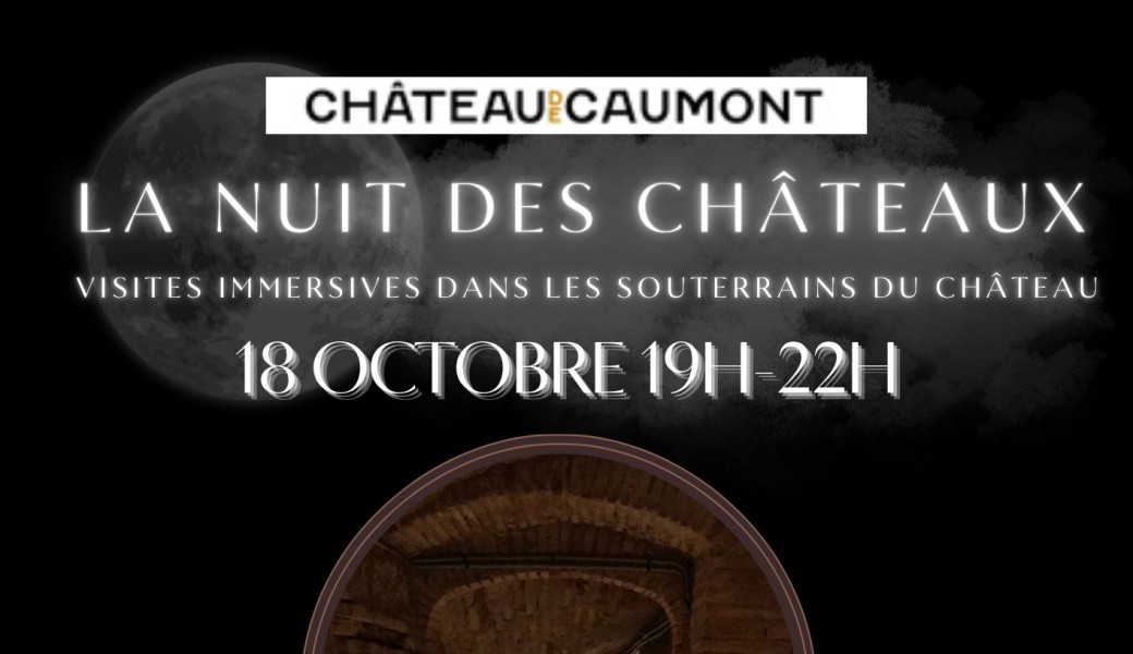 Visite immersive dans les souterrains du château