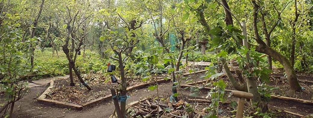 VISITE – Jardin-forêt – Fraternités Ouvrières