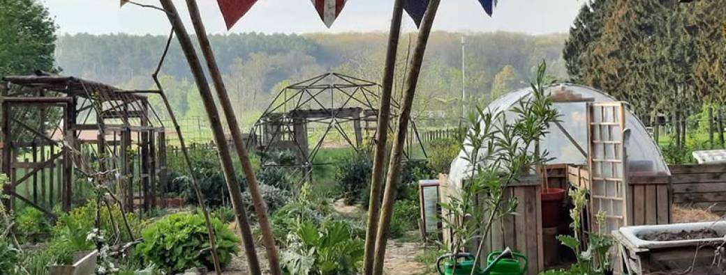 VISITE - Jardin-forêt - The IncrEdible Garden