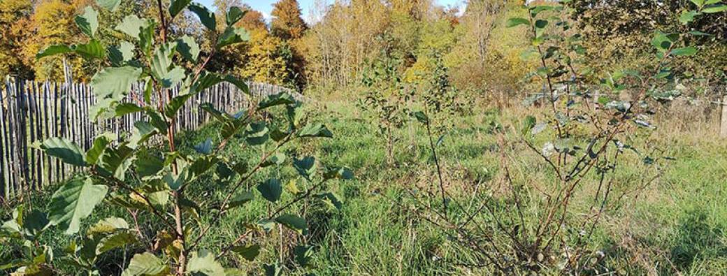 VISITE – Le jardin-forêt passe à la casserole