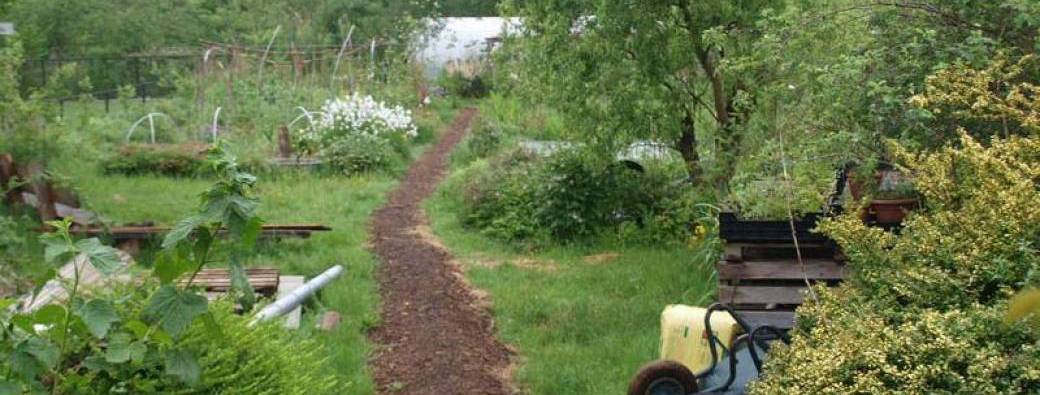 VISITE NL - Jardin-forêt - Overvloed