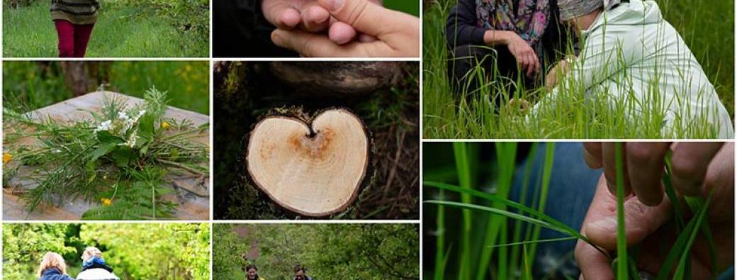 VISITE NL - Jardin-forêt - S-Poire