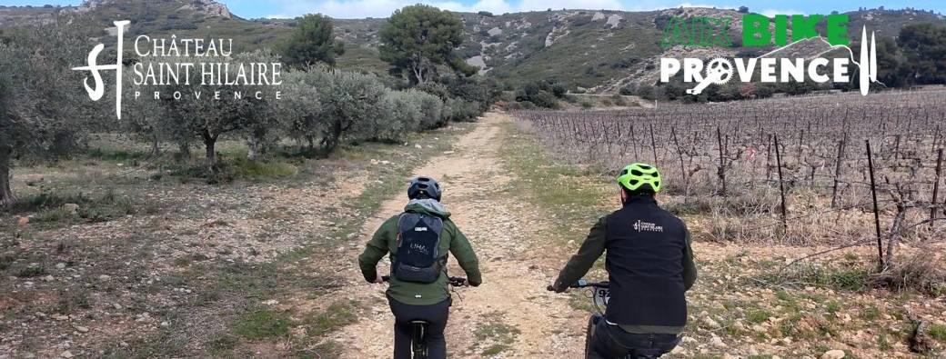 Découverte du Vignoble en VTT électrique et Dégustation au Château Saint Hilaire