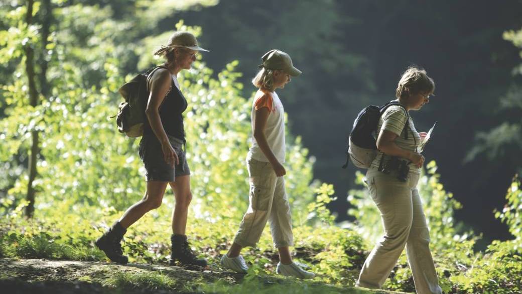 WE du bois - Visite guidée en forêt