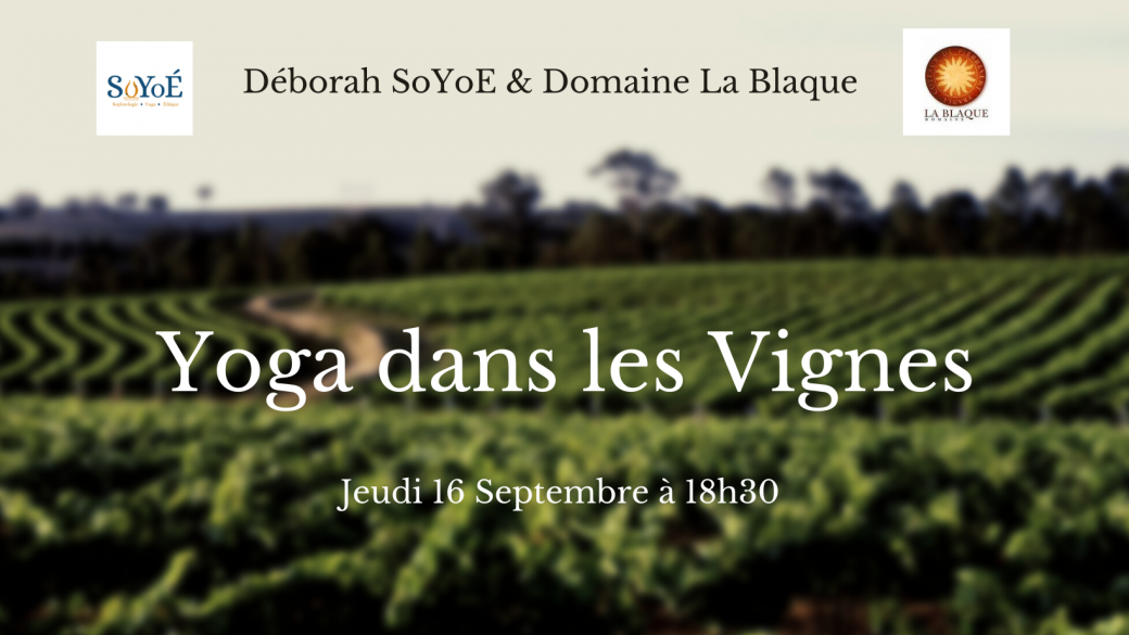 Yoga dans les Vignes