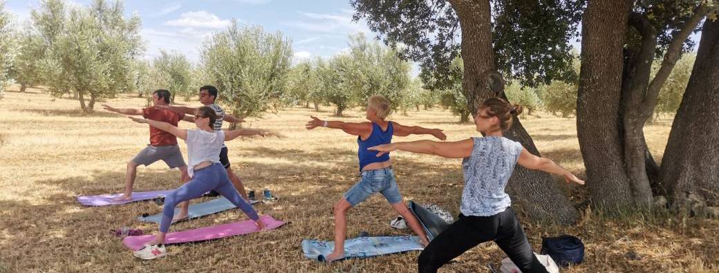 Yoga & Rando & Massifs (Alpilles/Luberon)