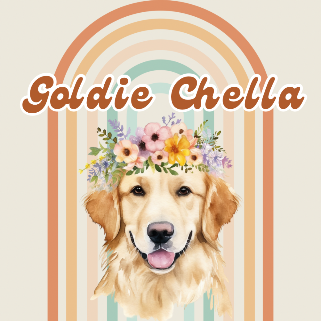 Tickets Goldie Chella 2025 Billetweb